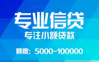 上海急用应急贷款-上海急用贷款信用贷款-上海急用哪里可以借私借